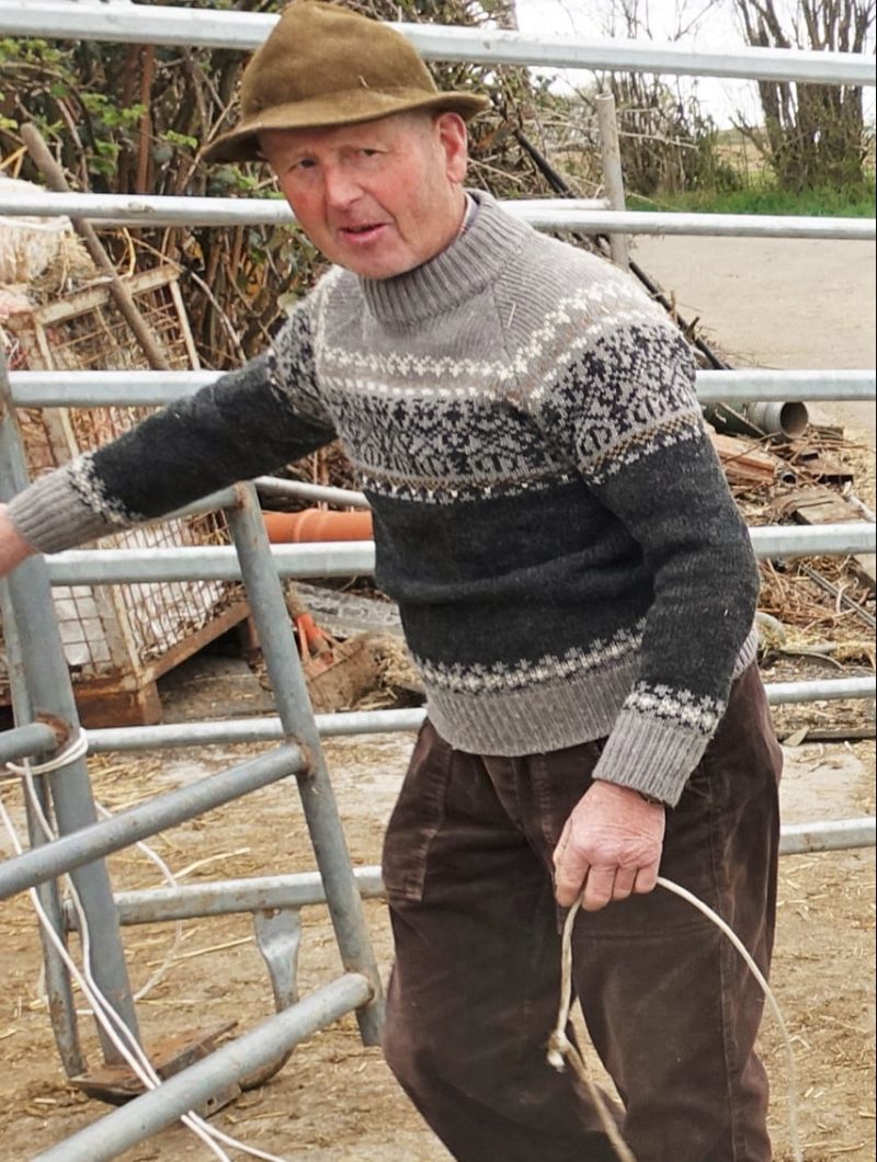 Hundert Rinder, 50 Fotos – Hofmetzgerei Friedrich Hack, Lindelberg ...